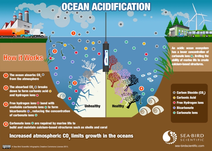 Ocean Acidification Chart
